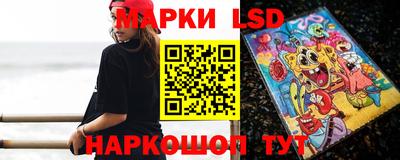 шишки Новозыбков