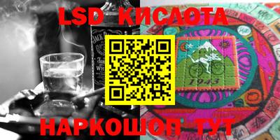 шишки Новозыбков