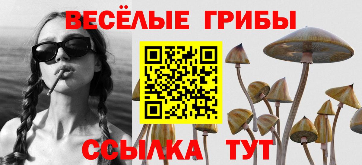 Псилоцибиновые грибы GOLDEN TEACHER  Вход с VPN  Галлюциногенные грибы Cubensis  Скопин 